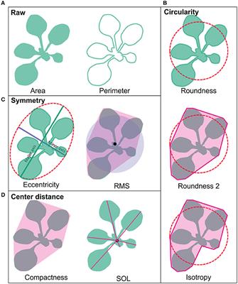 Genomic and Phenomic Screens for Flower Related RING Type Ubiquitin E3 Ligases in Arabidopsis